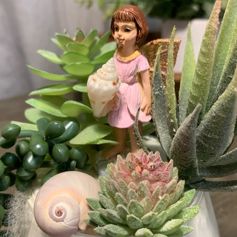 Succulent Fairy Beach Garden - Picture 2 of 5